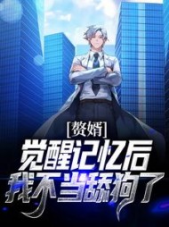 赘婿觉醒记忆后我不当舔狗了叶无锋