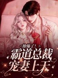 撩爆了霸道总裁宠妻上天(华槿)