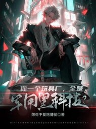 你一个玩具厂，全是军用黑科技阅读