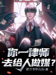 你一律师，去给人做媒