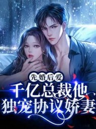 苏可顾知远的阅读