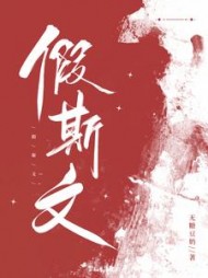 假斯文阅读小说阅读