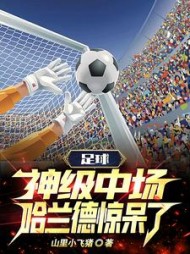 足球神级中场哈兰德惊呆了阅读