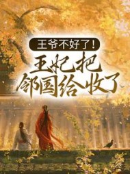 王爷不好了!王妃把邻国给收了阅读