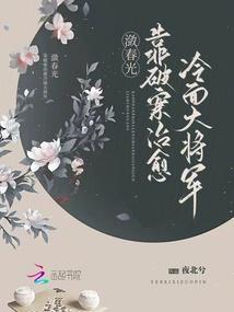 靠破案治癒冷麪大將軍