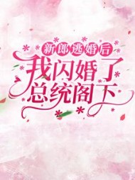 新郎逃婚后，我闪婚了总统阁下