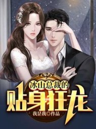 冰山总裁的贴身狂龙阅读