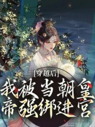 穿越后，我被当朝皇帝强绑进宫最新小说阅读