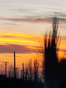 地府遇见前男友，阎王爷站我这边(白杨青柳)阅读