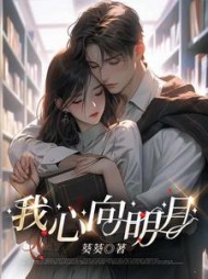 我心向明月后续+番外