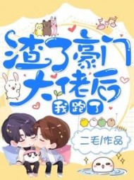 渣了豪门大佬后我跑了二毛
