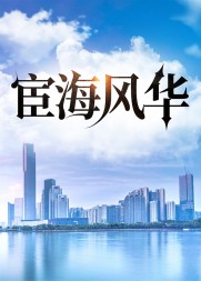 宦海风华林峰无弹窗