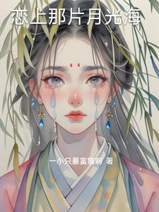 恋上那片月光海苏瑶陈风