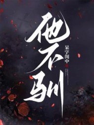 他不驯江烬沈漾(呆字闺中)阅读