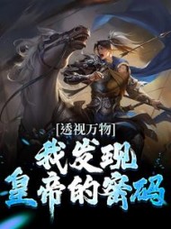 透视万物我发现皇帝的密码苏峻