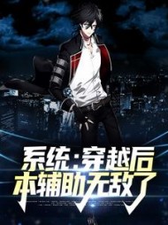 系统穿越后本辅助无敌了陈小飞
