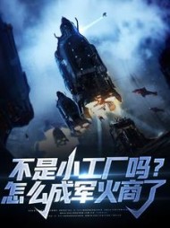 不是小工厂吗怎么成军火商了林辰