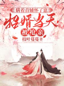 瞒着首辅怀了崽，招婿当天被抢亲最新