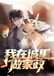 我在城里做家政菲菲张老板by胖虎