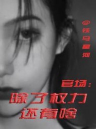 官场：除了权力还有啥最新