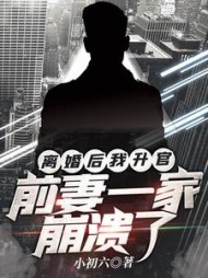 离婚后我升官，前妻一家崩溃了阅读