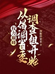 权力巅峰：从借调省委调查组开始最新