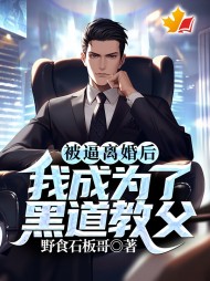 被逼离婚后，我成为了黑道教父阅读
