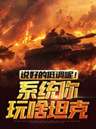 说好的低调呢！系统你玩啥坦克小说阅读