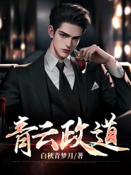 青云政道陆林阅读小说阅读