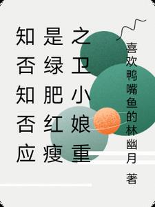 知否知否应是绿肥红瘦之卫小娘重小说阅读