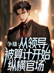 争雄:从领导被算计开始纵横官场无弹窗小说阅读