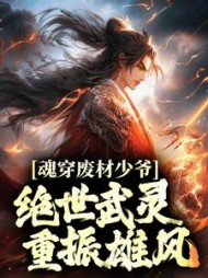 魂穿废材少爷绝世武灵重振雄风元枫小说阅读