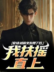 官场：被前女友甩了后，我扶摇直上阅读小说阅读