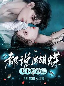 都说蝴蝶飞不过沧海(风月都相关)阅读小说阅读