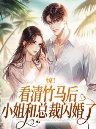 惊!看清竹马后小姐和总裁闪婚了阅读小说阅读