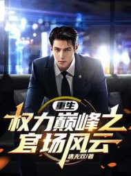 重生：权力巅峰之官场风云(唐无双)小说阅读