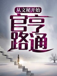 从文秘开始，官路亨通(青竹翁)小说阅读