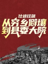 仕途狂飙：从穷乡僻壤到县委大院徐远舟小说阅读