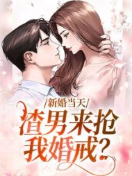 新婚当天，渣男来抢我婚戒？小说阅读