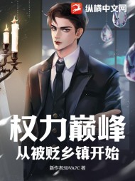 权力巅峰,从被贬乡镇开始阅读小说阅读