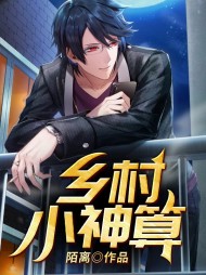 乡村小神算宋大棍王桂香阅读小说阅读