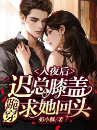 入夜后,迟总膝盖跪穿求她回头最新小说阅读