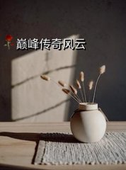 巅峰传奇风云苏柔最新更新小说阅读