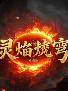 灵焰焚穹林羽小说阅读