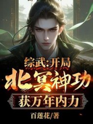 综武:开局北冥神功,获万年内力精彩小说阅读