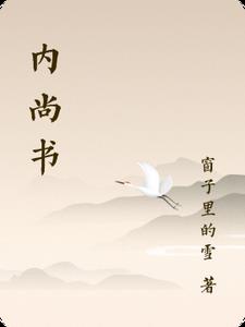 内尚书(窗子里的雪)小说阅读