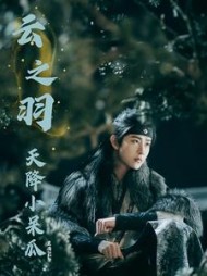 云之羽：天降小呆瓜小说阅读