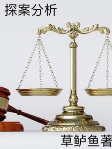 探案分析林宇小说阅读