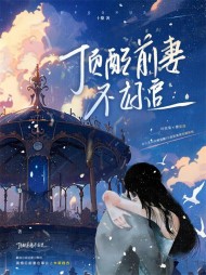 顶配前妻不好追(十黎)阅读小说阅读