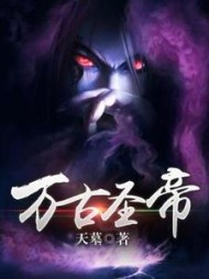 万古圣帝叶长枫小说阅读